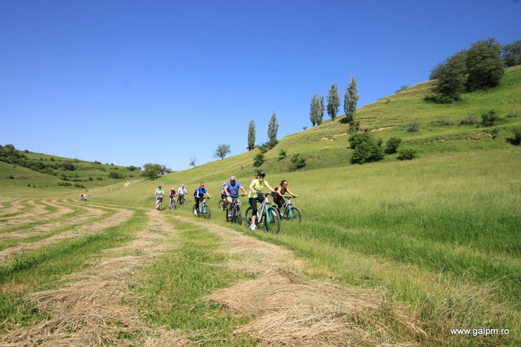 biciclete valea viilor